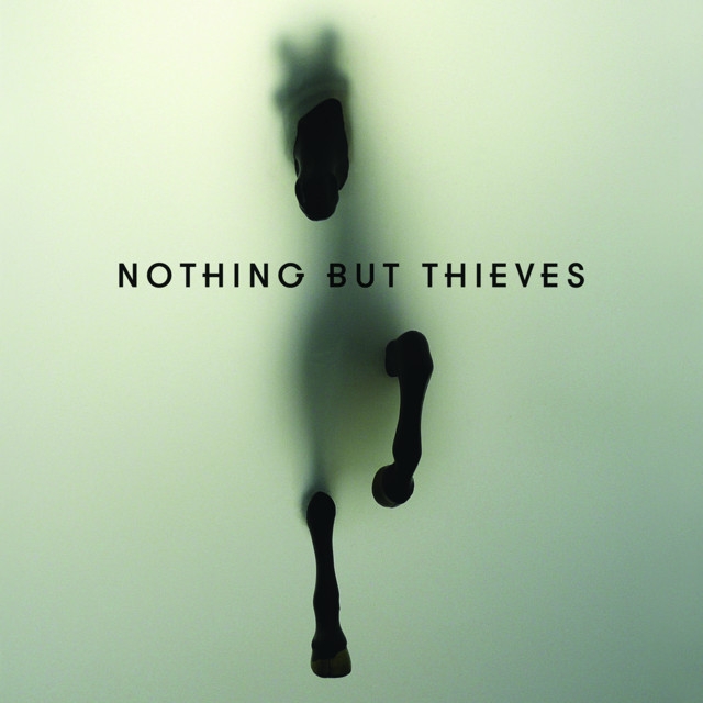 Nothing But Thieves (album)