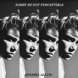 Sorry I'm Not Perceptible (EP)