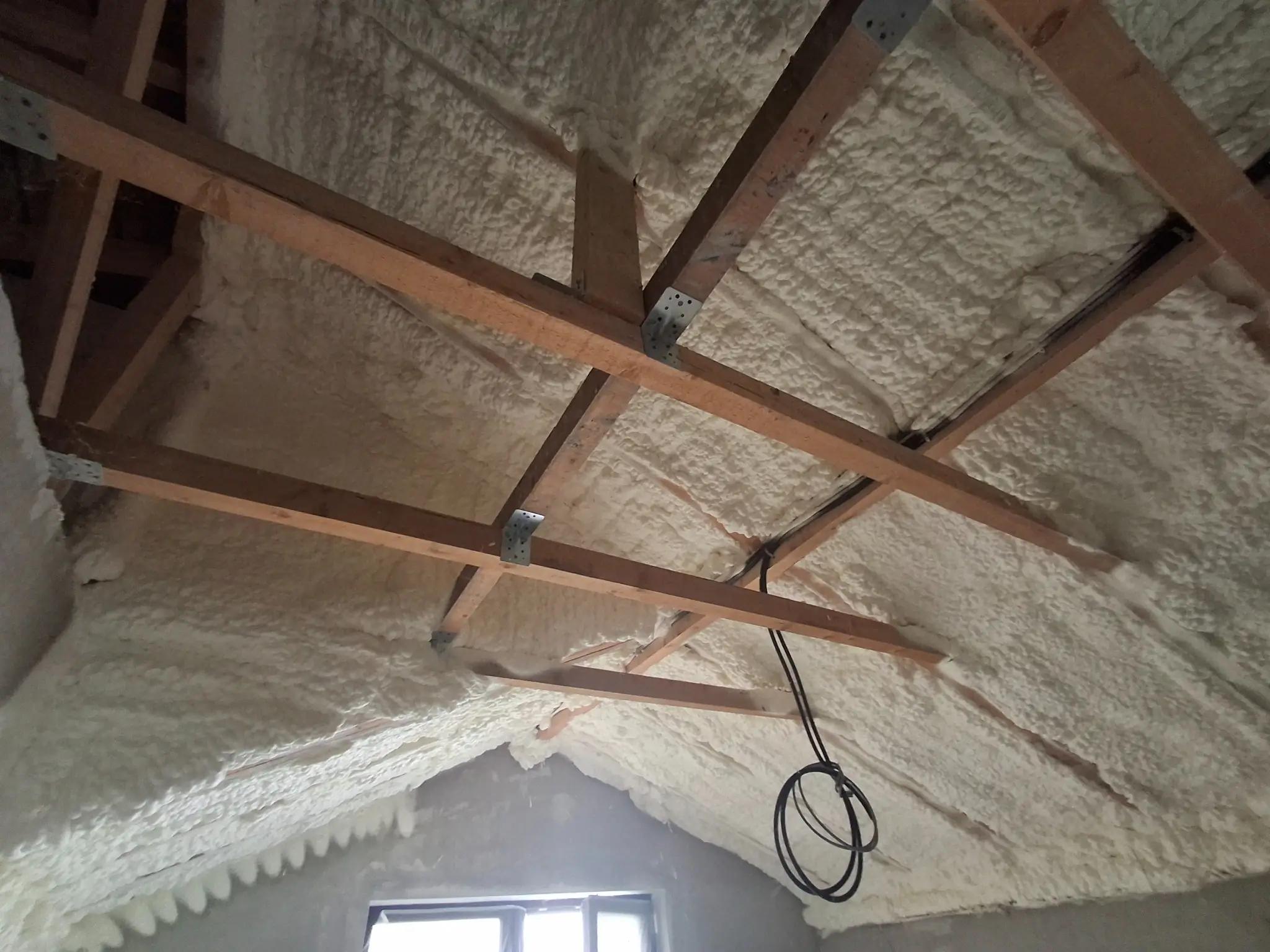 celula-deschisa-10cm