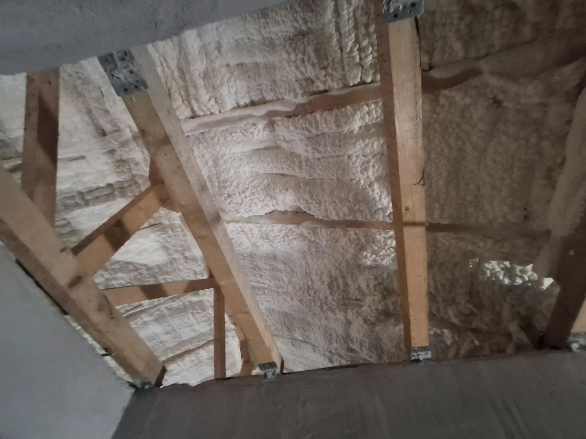 celula-deschisa-izolatie