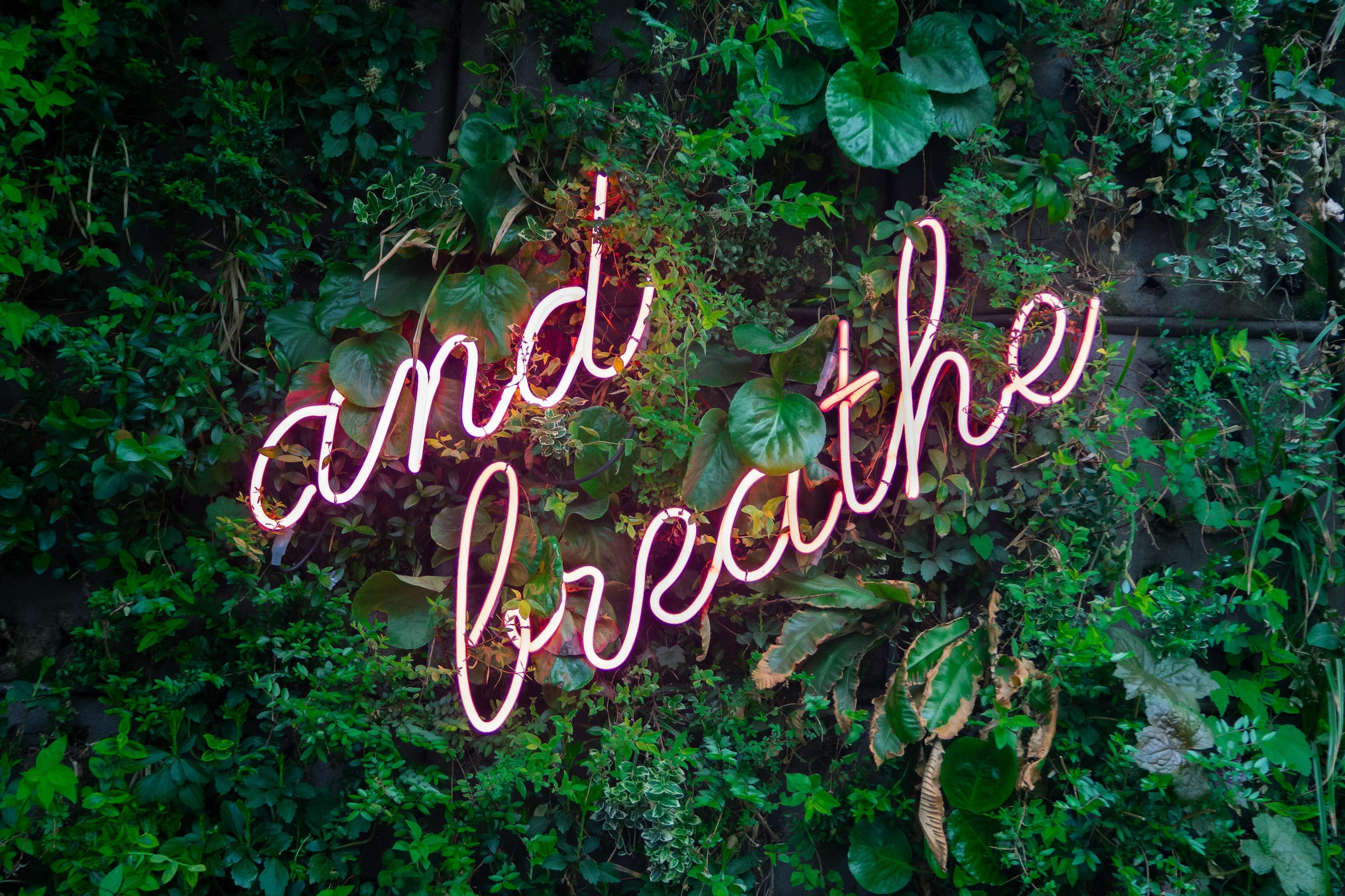 Wellbeing at work: Forming habits, looking after ourselves, and one another