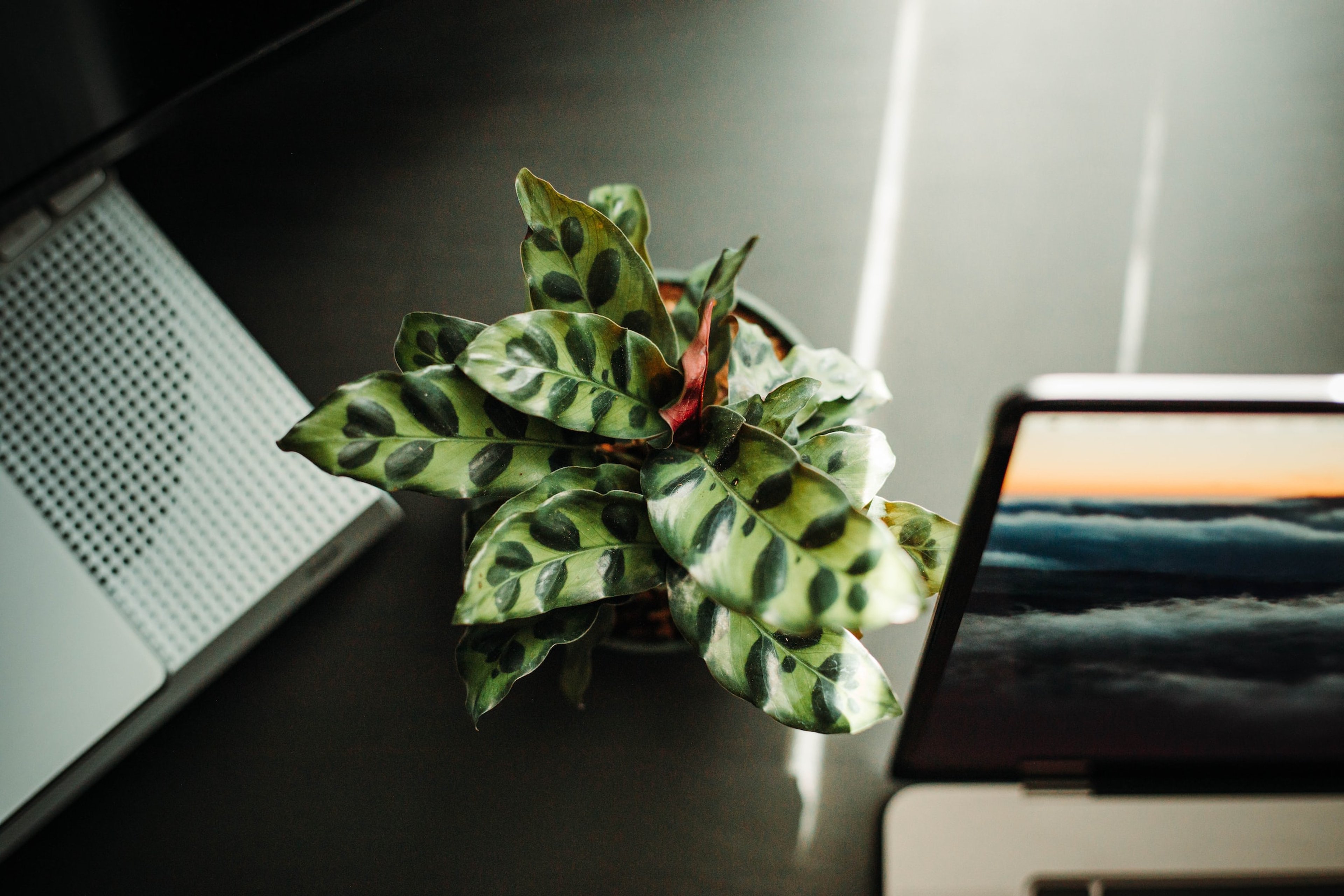 Can user experience strategy and sustainable web design go hand-in-hand?