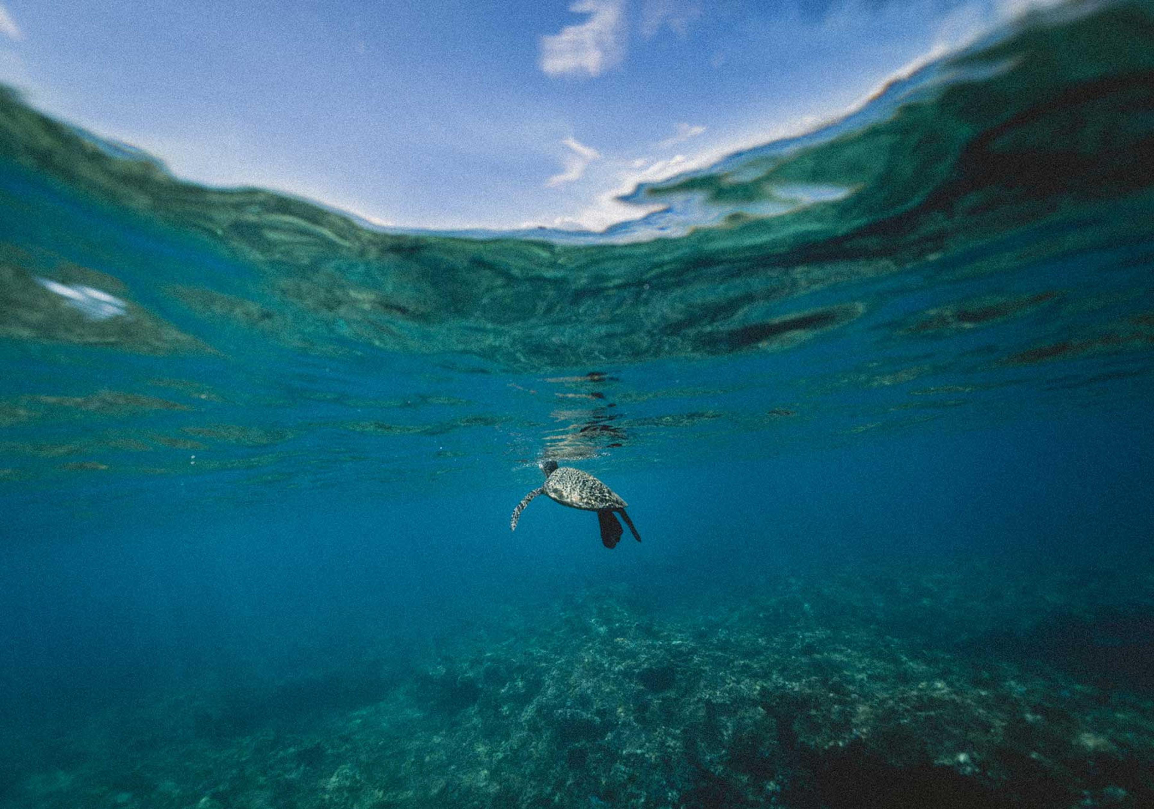 Refuse the straw — How we're reducing plastic use at Kyan