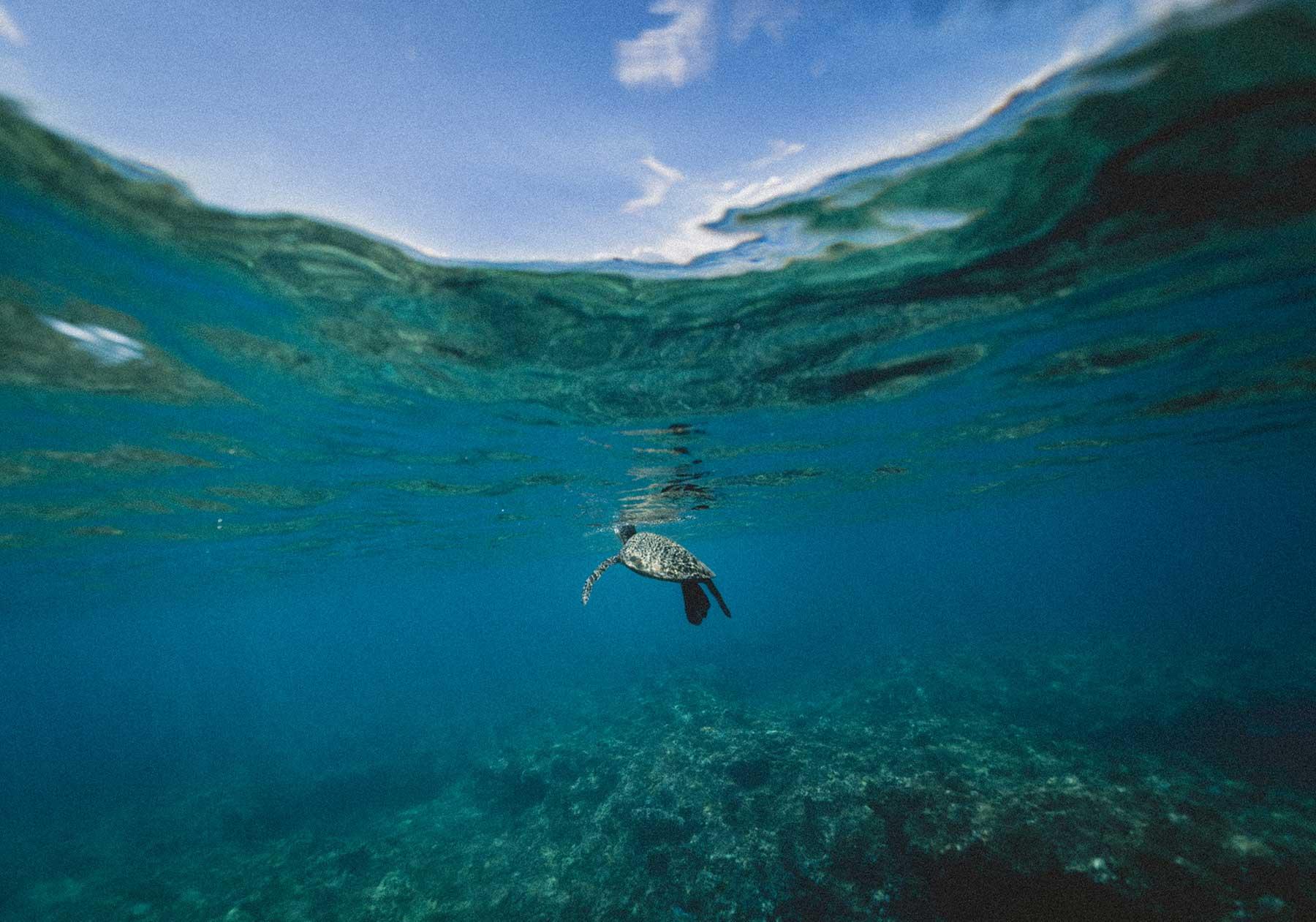Refuse the straw — How we're reducing plastic use at Kyan