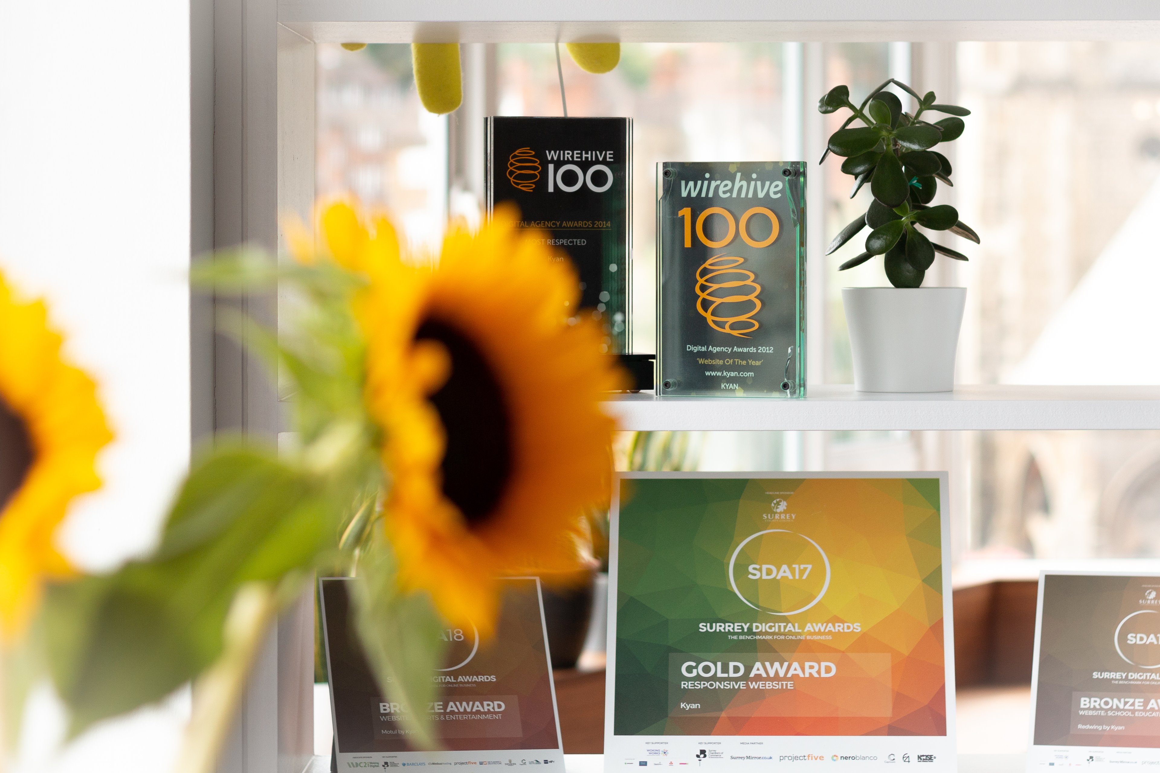 A closer look at our Wirehive 100 Awards finalists