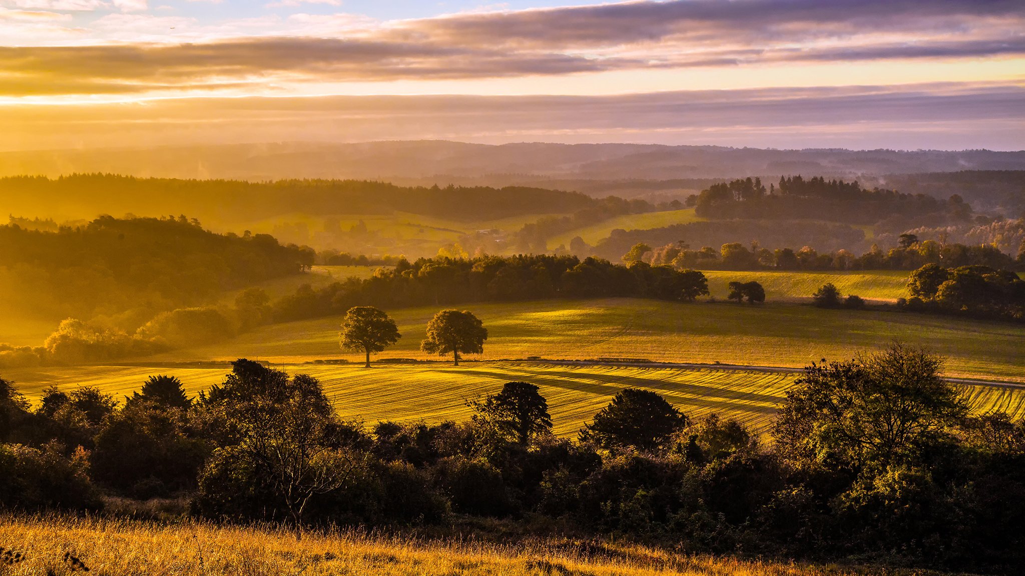 Investec International Music Festival 2020