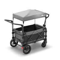 FamilyStar Custom 2-Sitzer Plus Premium aus Alu ohne Sitzpolster (Bild 2)