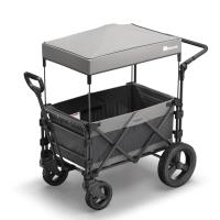 FamilyStar Custom 2-Sitzer Plus Offroad aus Alu ohne Sitzpolster (Bild 1)