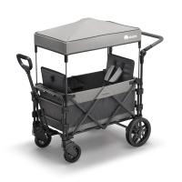 FamilyStar Custom 2-Sitzer Premium aus Alu mit ergonomischen Sitzpolstern (Bild 1)