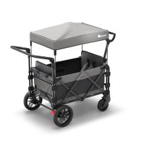 FamilyStar Custom 2-Sitzer Plus Premium aus Stahl mit Sitzpolstern (Bild 2)