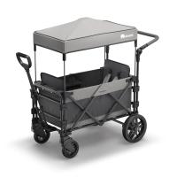 FamilyStar Custom 2-Sitzer Premium aus Alu mit Sitzpolstern (Bild 1)
