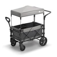 FamilyStar Custom 2-Sitzer Premium aus Stahl ohne Sitzpolster (Bild 1)