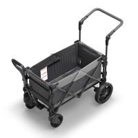 FamilyStar Custom 2-Sitzer Premium aus Stahl ohne Sitzpolster (Bild 4)