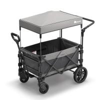 FamilyStar Custom 2-Sitzer Plus Premium aus Alu ohne Sitzpolster (Bild 1)