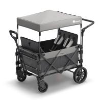 FamilyStar Custom 4-Sitzer Premium aus Alu mit ergonomischen Sitzpolstern (Bild 1)