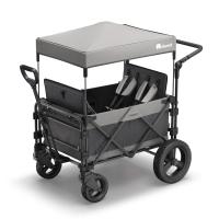 FamilyStar Custom 4-Sitzer Offroad aus Alu mit ergonomischen Sitzpolstern (Bild 1)
