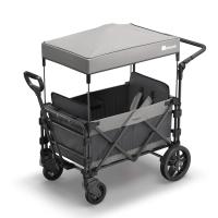 FamilyStar Custom 2-Sitzer Plus Premium aus Stahl mit Sitzpolstern (Bild 1)