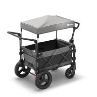 FamilyStar Custom 2-Sitzer Plus Offroad aus Alu ohne Sitzpolster (Bild 2)