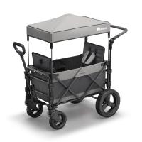 FamilyStar Custom 2-Sitzer Offroad aus Alu mit ergonomischen Sitzpolstern (Bild 1)