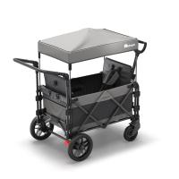 FamilyStar Custom 2-Sitzer Plus Premium aus Alu mit ergonomischen Sitzpolstern (Bild 2)