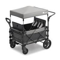 FamilyStar Custom 4-Sitzer Premium aus Alu mit ergonomischen Sitzpolstern (Bild 1)