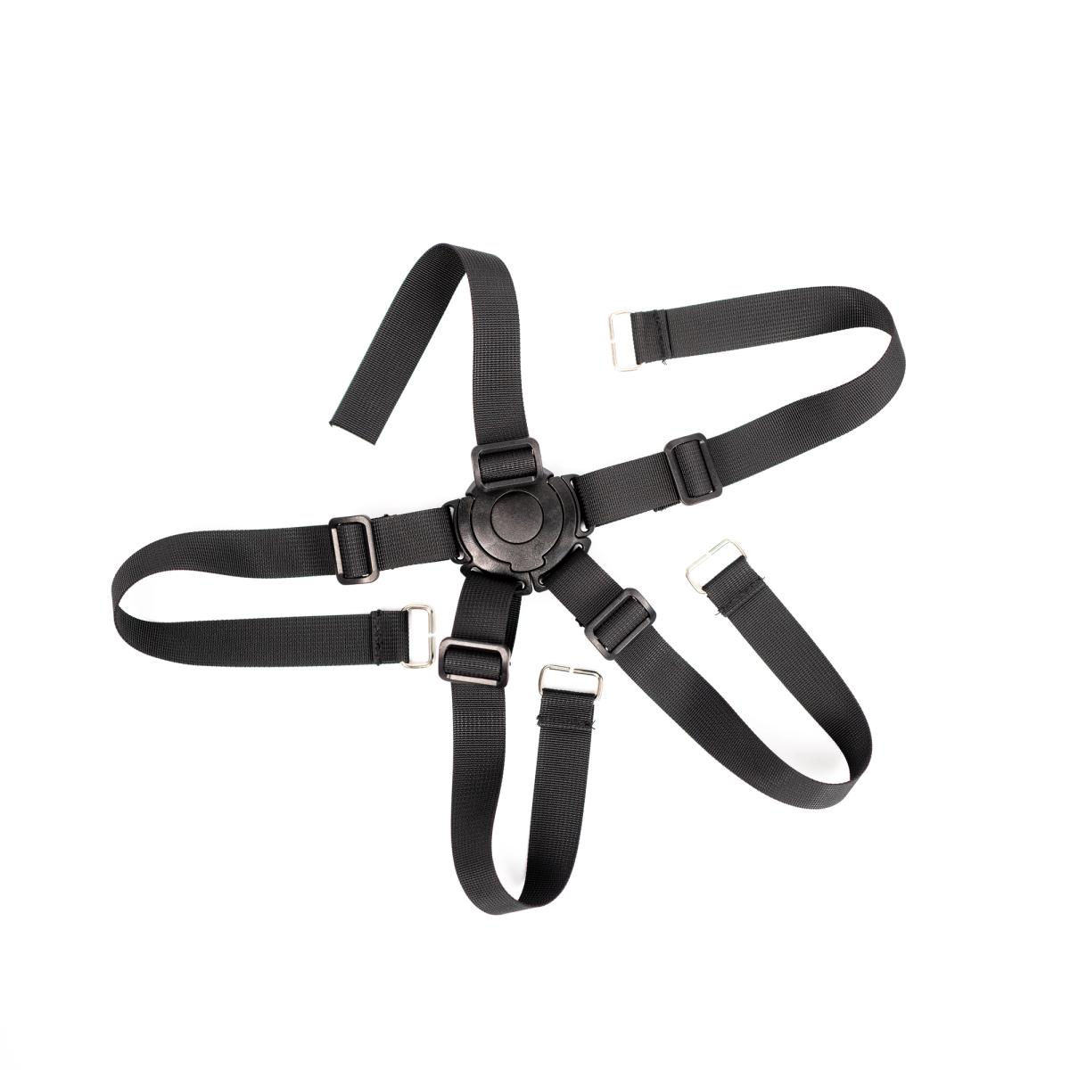 Abbildung: 5-Punkt-Gurt