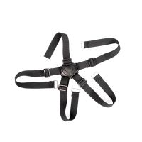 5-Punkt-Gurt (Bild 1)