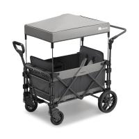 FamilyStar Custom 2-Sitzer-Plus Premium aus Stahl mit Sitzpolstern (Bild 1)
