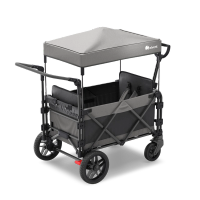 FamilyStar Custom 2-Sitzer-Plus Premium aus Stahl mit Sitzpolstern (Bild 2)