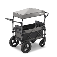 FamilyStar Custom 2-Sitzer Offroad aus Alu mit Sitzpolstern (Bild 2)