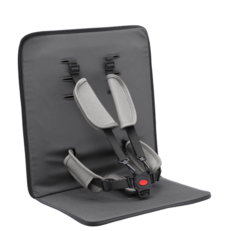 Abbildung: FamilyStar Custom 2-Sitzer-Plus Sitzpolster
