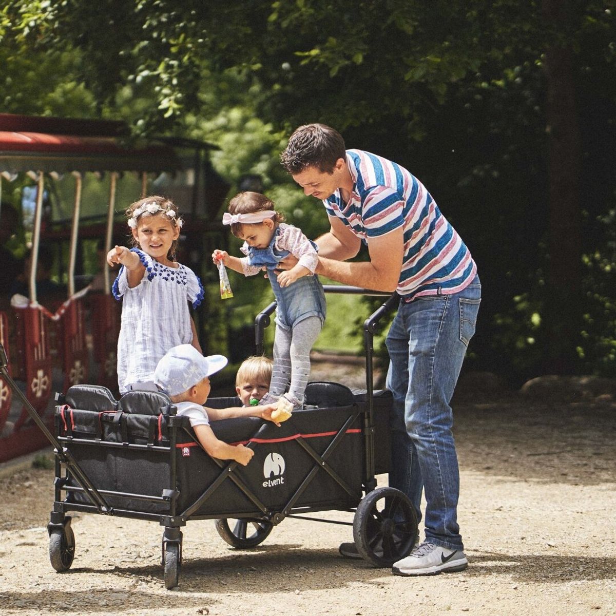 WagonPro Premium B-Ware (Bild 2)