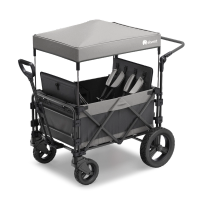 FamilyStar Custom 4-Sitzer Offroad aus Alu mit ergonomischen Sitzpolstern (Bild 1)