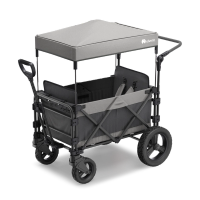 FamilyStar Custom 2-Sitzer-Plus Offroad aus Stahl mit Sitzpolstern (Bild 1)