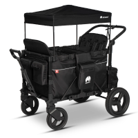 FlexProfessional 4 (Bild 1)