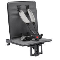 FamilyStar Custom 2-Sitzer ergonomische Sitzpolster (Bild 1)