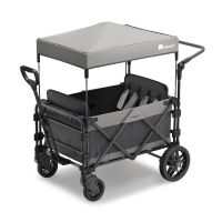 FamilyStar Custom 4-Sitzer Premium aus Stahl mit Sitzpolstern (Bild 1)