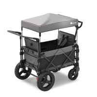 FamilyStar Custom 2-Sitzer-Plus Offroad aus Alu mit ergonomischen Sitzpolstern (Bild 2)