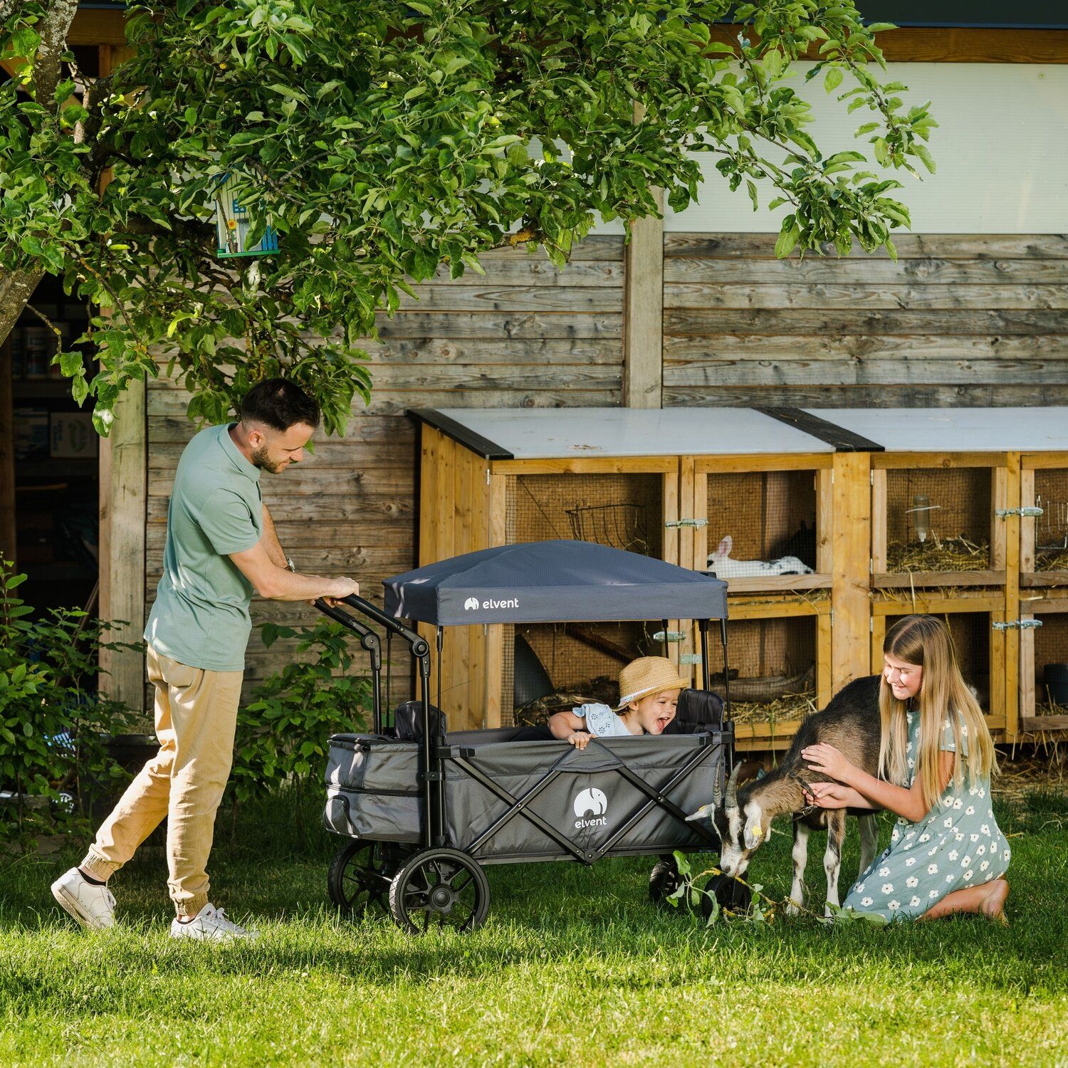 AllRounder Premium B-Ware (Bild 2)