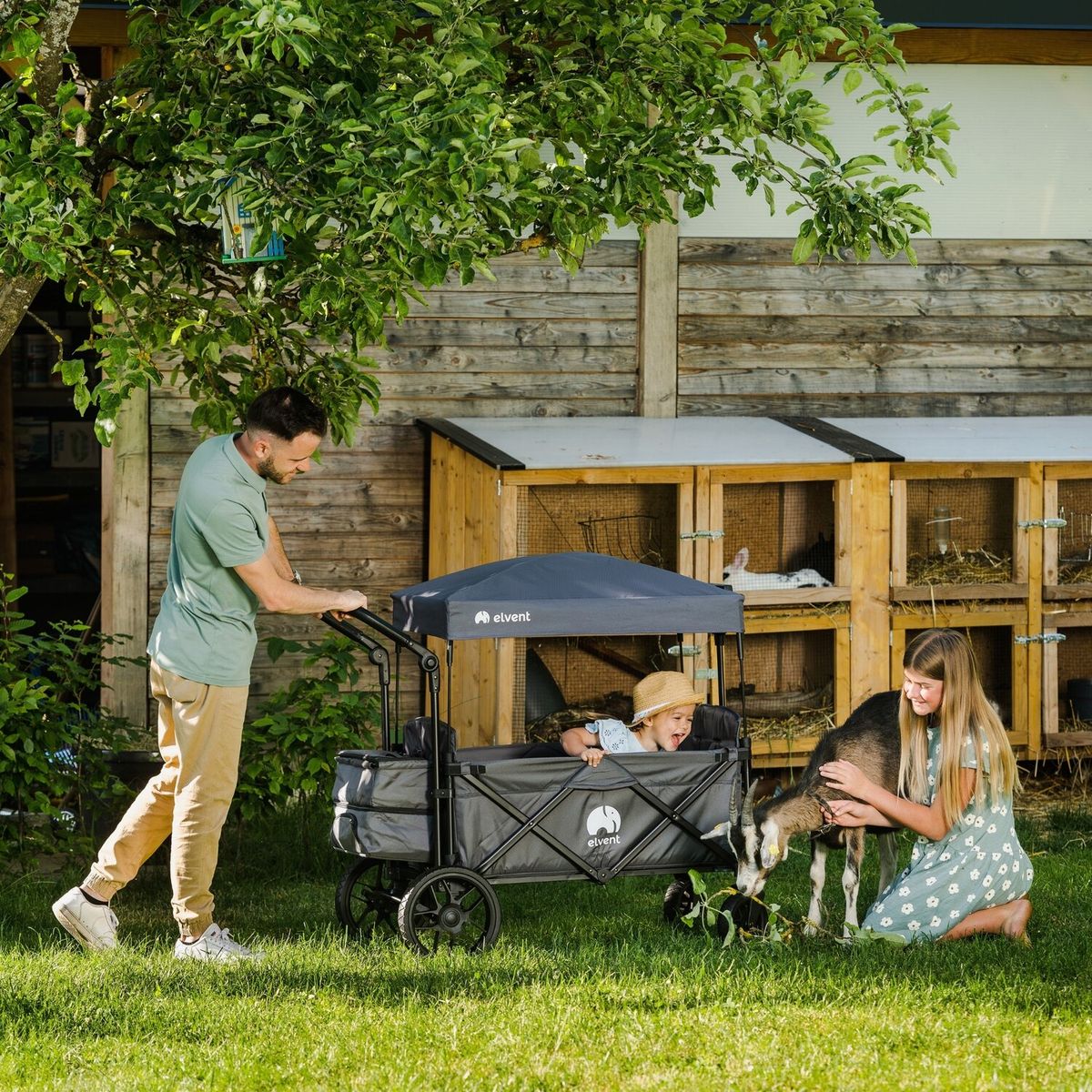 AllRounder Premium B-Ware (Bild 2)