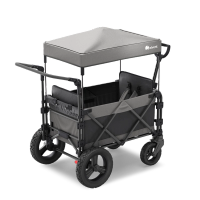 FamilyStar Custom 2-Sitzer-Plus Offroad aus Stahl mit Sitzpolstern (Bild 2)
