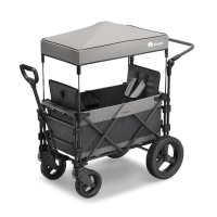 FamilyStar Custom 2-Sitzer Offroad aus Alu mit ergonomischen Sitzpolstern (Bild 1)