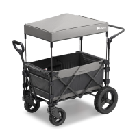 FamilyStar Custom 2-Sitzer-Plus Offroad aus Stahl ohne Sitzpolster (Bild 1)