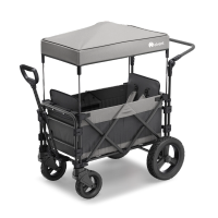 FamilyStar Custom 2-Sitzer Offroad aus Alu mit Sitzpolstern (Bild 1)