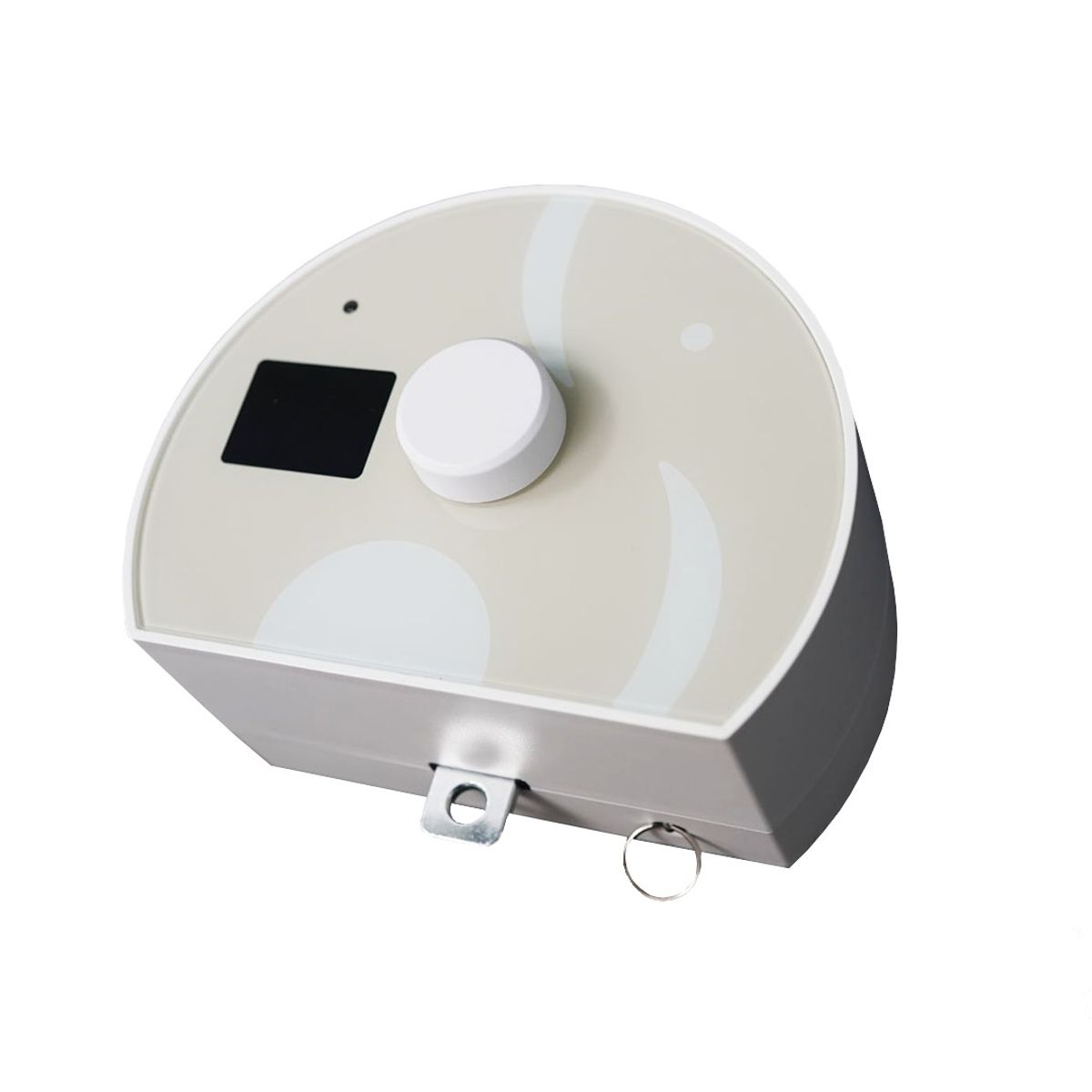 Motor für Federwiege (Bild 2)