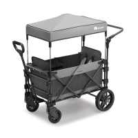 FamilyStar Custom 2-Sitzer Premium aus Stahl mit Sitzpolstern (Bild 1)