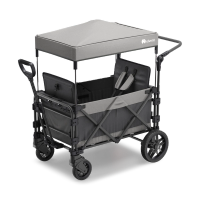 FamilyStar Custom 2-Sitzer-Plus Premium aus Alu mit ergonomischen Sitzpolstern (Bild 1)
