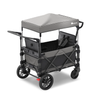 FamilyStar Custom 2-Sitzer-Plus Premium aus Alu mit ergonomischen Sitzpolstern (Bild 2)