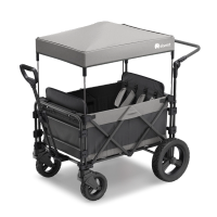 FamilyStar Custom 4-Sitzer Offroad aus Stahl mit Sitzpolstern (Bild 1)