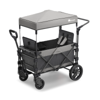 FamilyStar Custom 2-Sitzer Premium aus Alu mit ergonomischen Sitzpolstern (Bild 1)